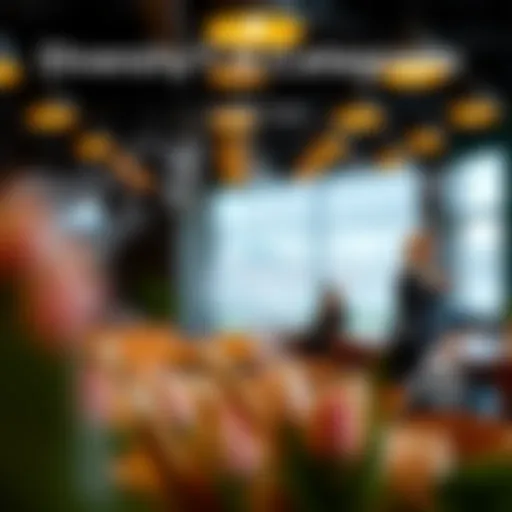 Diversity in Investment Categories Conceptual graphic illustrating the diverse categories within the All Cap Opportunities Fund