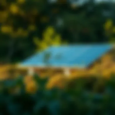Sustainable energy solutions in a natural setting