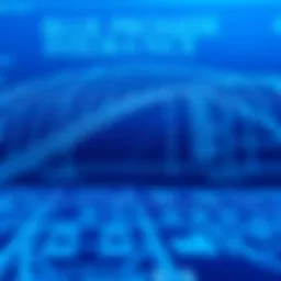 Blueprint of Blue Promise Insurance structure