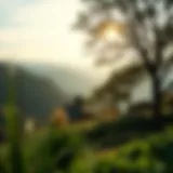 A serene landscape inviting contemplation