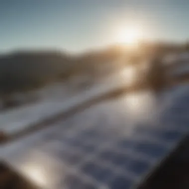 Harnessing the Power of the Sun Solar energy panels harnessing sunlight