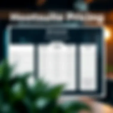 Hootsuite Pricing Structure Graph showcasing Hootsuite pricing tiers