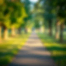 A clear pathway illustrating communication