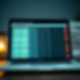 Detailed spreadsheet showcasing expenses and income