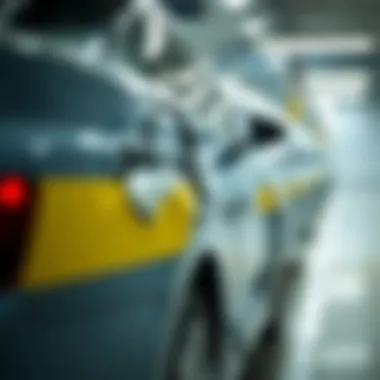 Market Leaders in the EV Battery Sector Market leaders in electric vehicle batteries