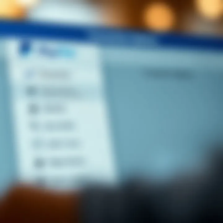 PayPal Transaction Options PayPal interface showcasing transaction options