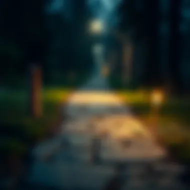 Roadmap towards financial recovery