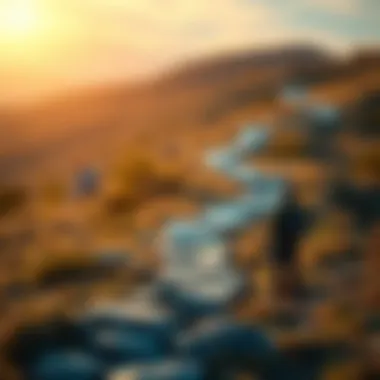 Illustration of financial recovery pathways