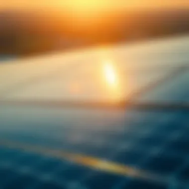 Solar panels harnessing sunlight for energy production