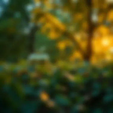 Sustainability Initiatives at Apple Sustainability initiatives within Apple