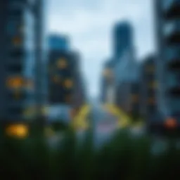 Conceptual framework of real estate licensing