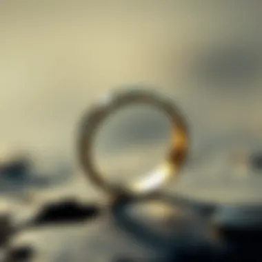 Detailed view of a ring with appraisal metrics displayed