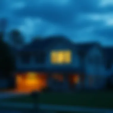 Exploring Various Types of Home Loans A visual representation of different loan types