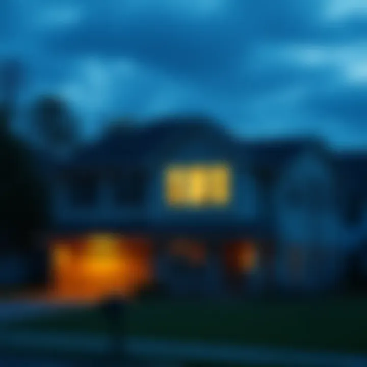 Exploring Various Types of Home Loans A visual representation of different loan types