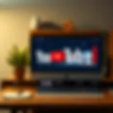 Visual representation of YouTube's revenue streams